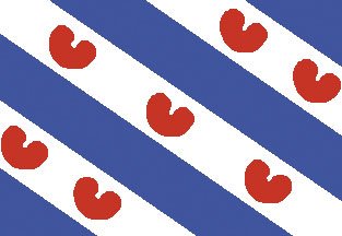 allpa Friese vlag 40x60cm - Fr4060 72dpi - FR4060