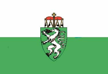 allpa Steiermark vlag 20x30cm - Stm2030 72dpi - STM2030